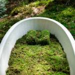 Wordt onderdeel van de kringloop van het leven en verrijkt de natuur met ’s werelds eerste levende doodskist.